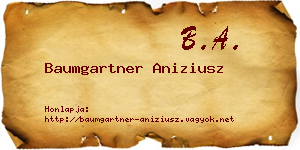Baumgartner Aniziusz névjegykártya